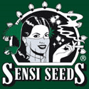 Semena u Sensi Seeds